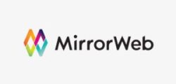 Mirror-Web-300x150